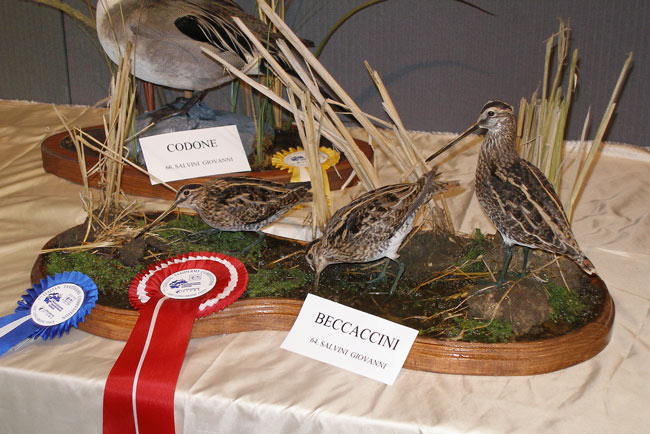 2007-beccaccini